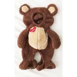 Teddy Bear Costume